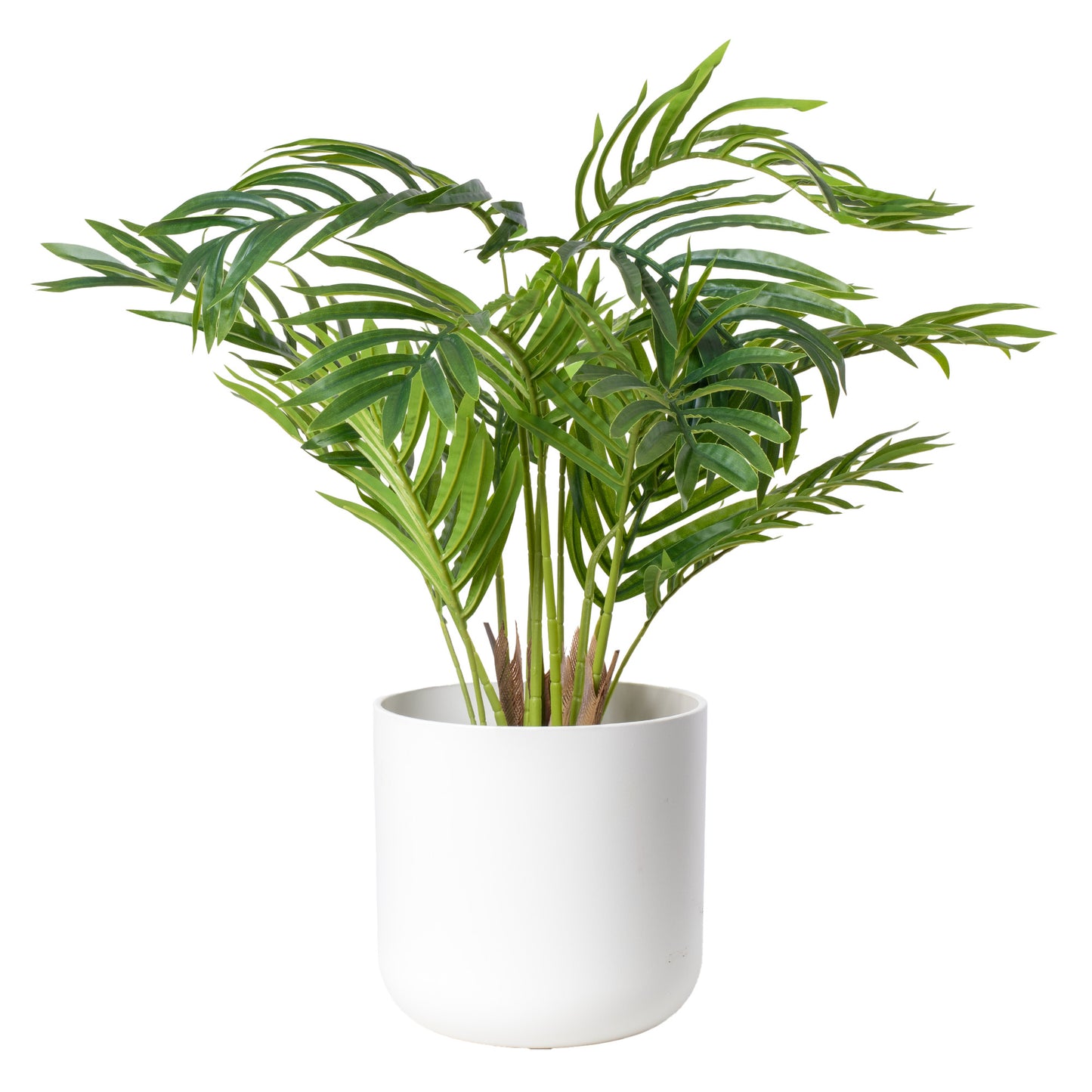 Gardeners Dream Artificial Areca Palm (Master)