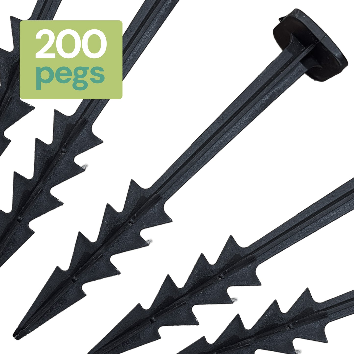 Square Pegs 6" (#200)