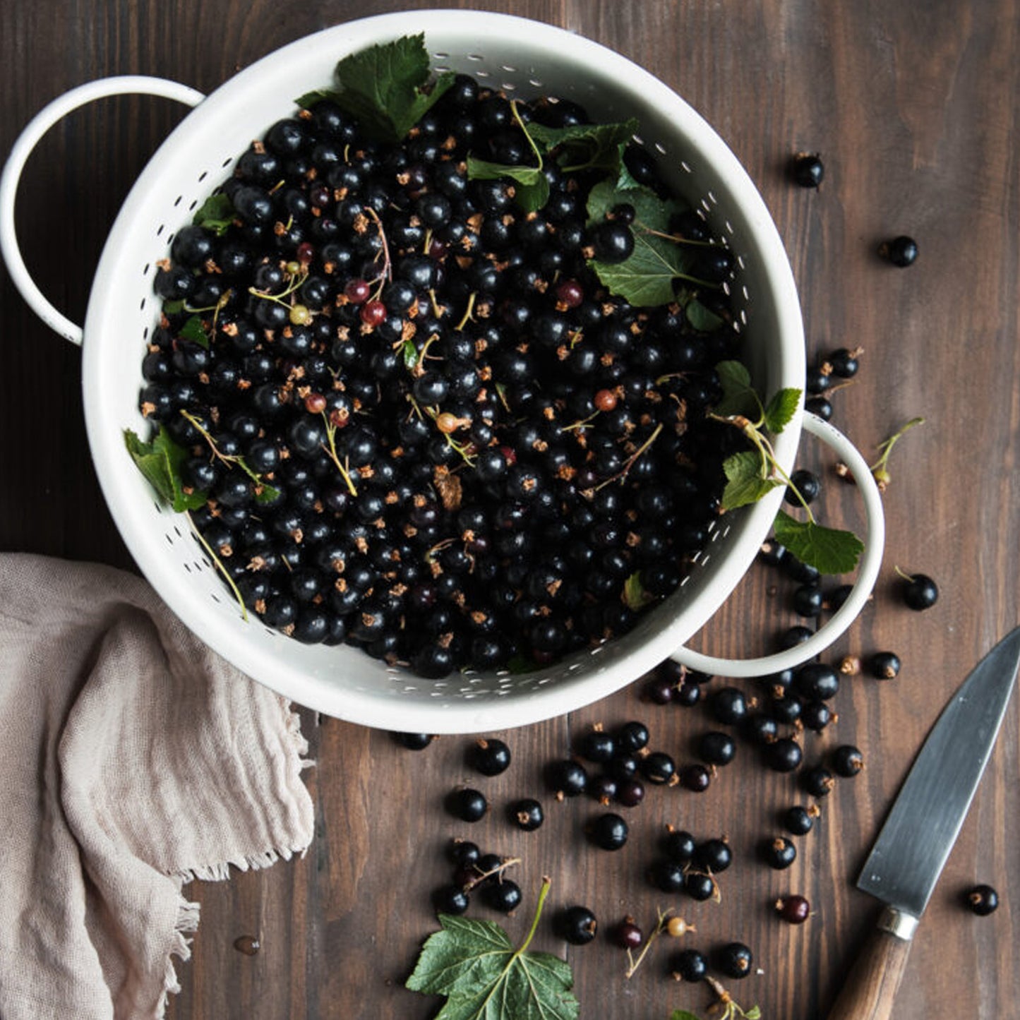 Blackcurrant Little Black Sugar