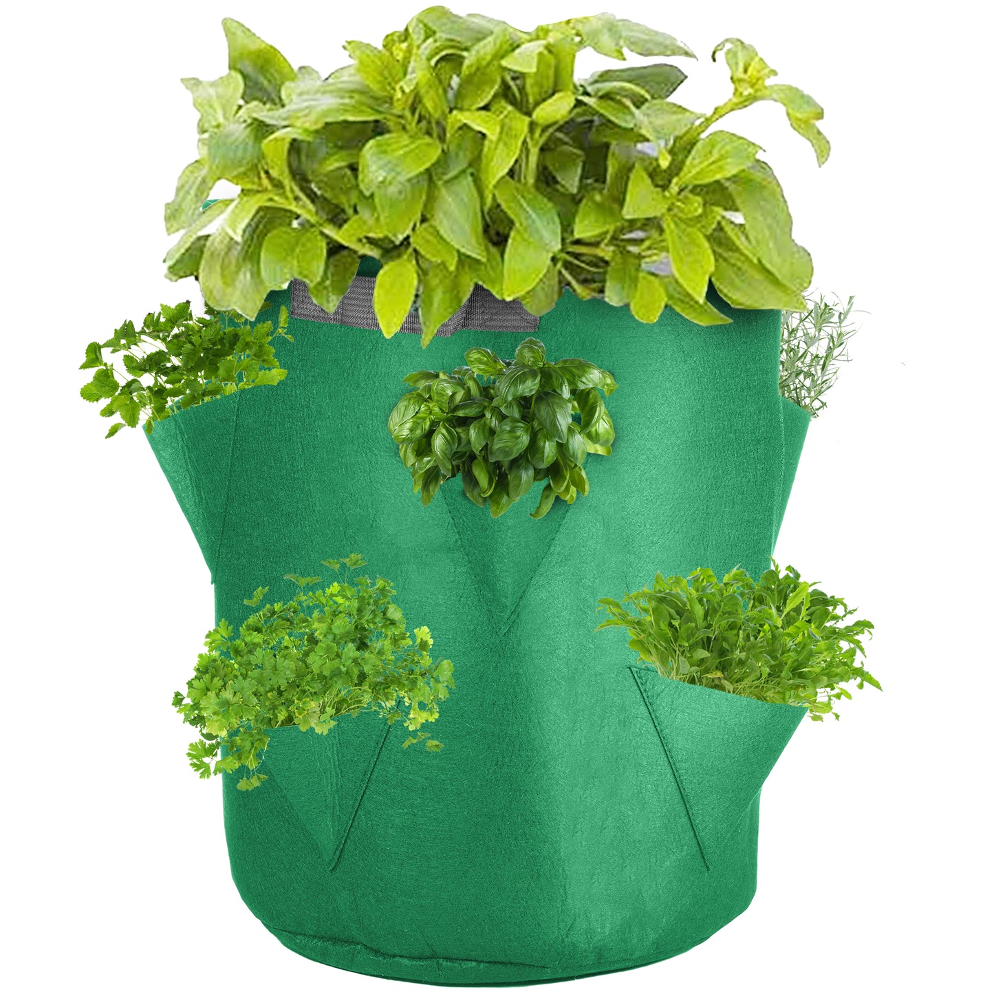 Herb Pocket Grow Bag