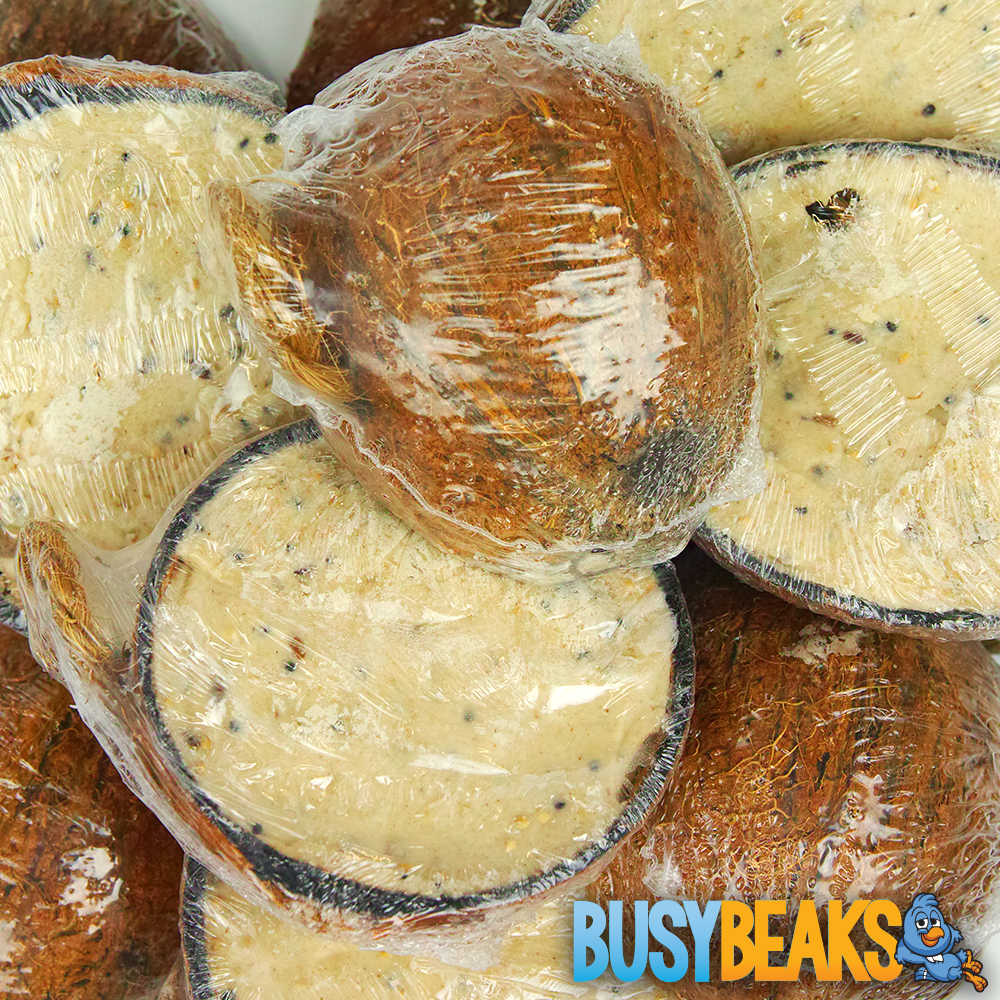 BusyBeaks Suet Filled Coconut Halves