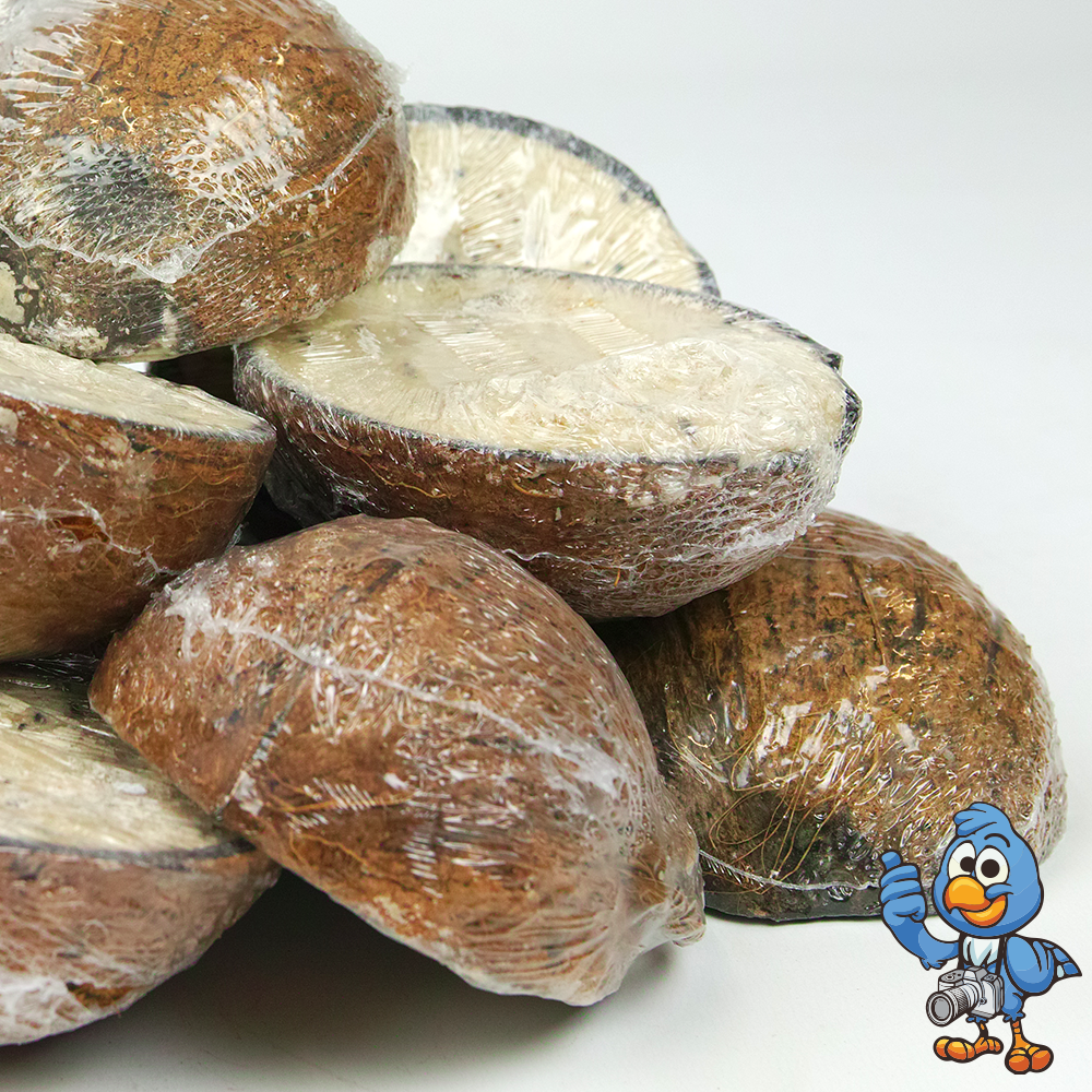 BusyBeaks Suet Filled Coconut Halves