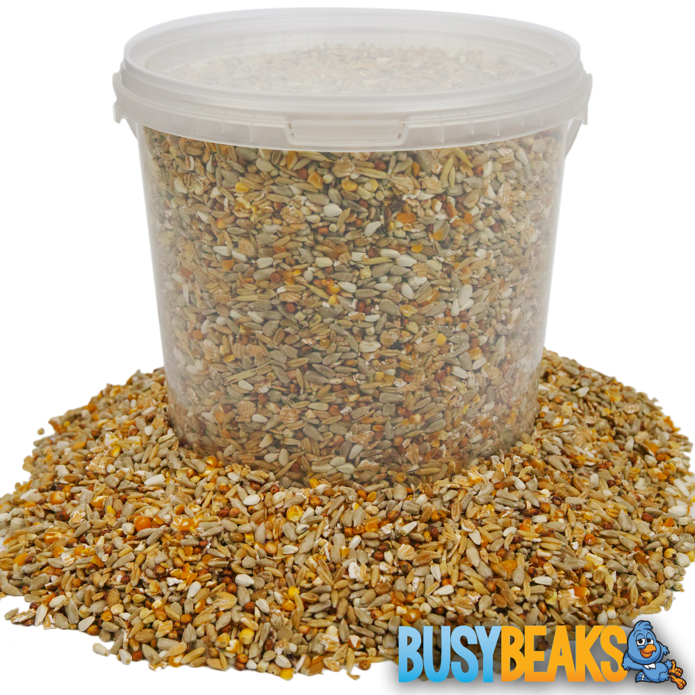 BusyBeaks No Mess Seed Mix