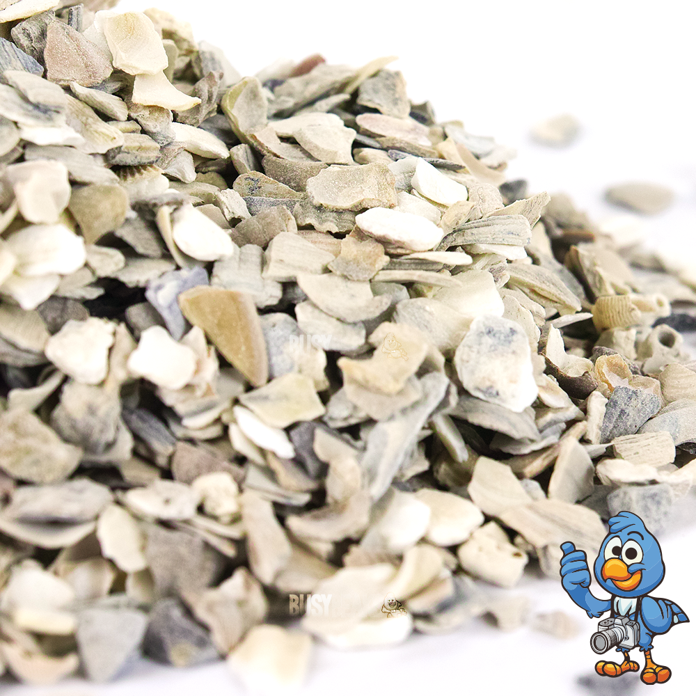 BusyBeaks Hen Sized Oyster Shell