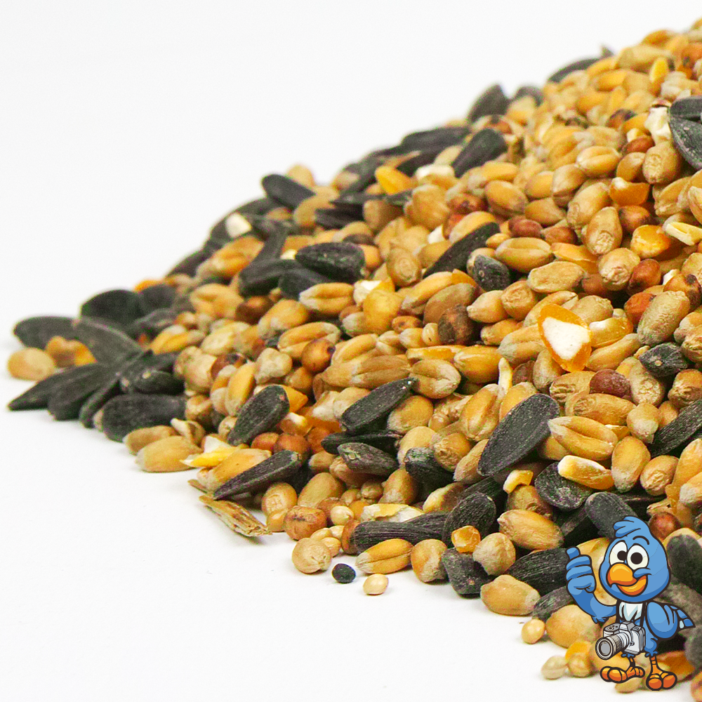 BusyBeaks Year Round Wild Bird Food Mix