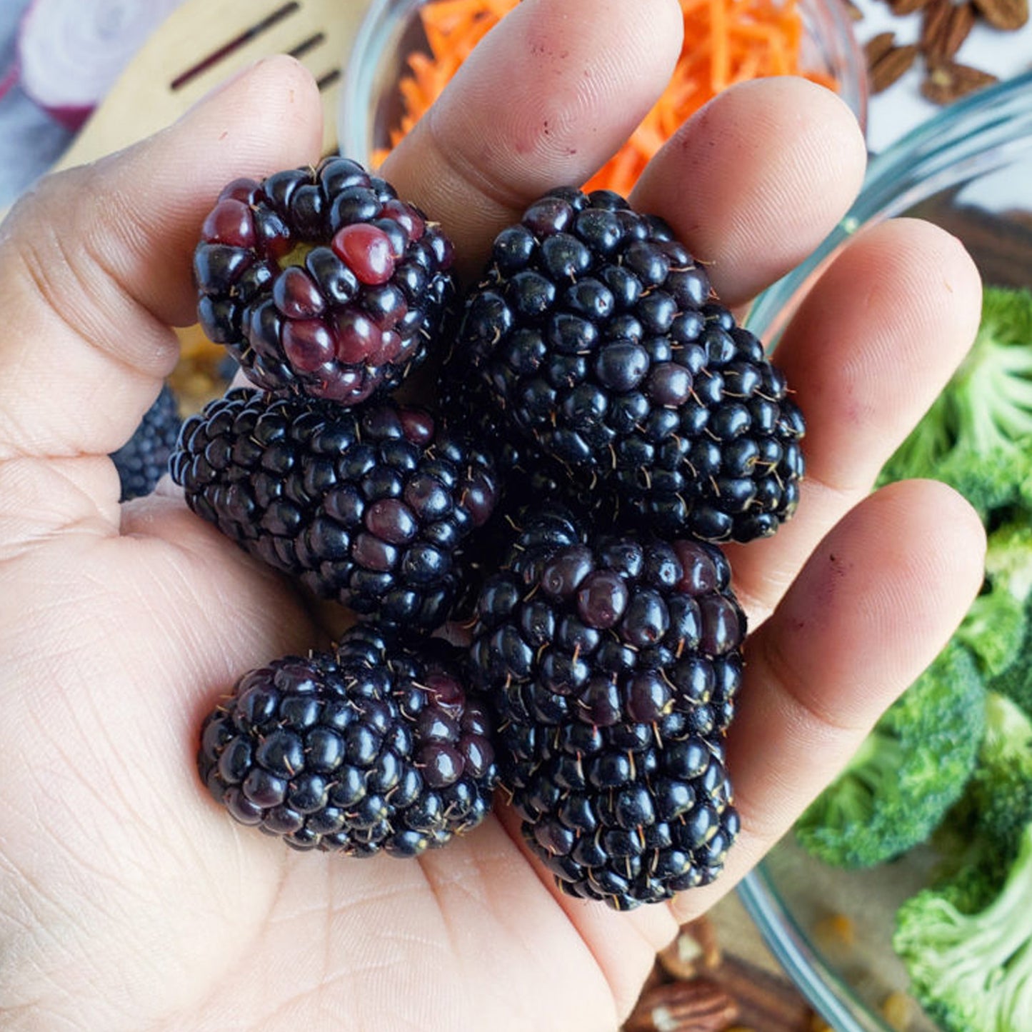 Blackberry Oregon