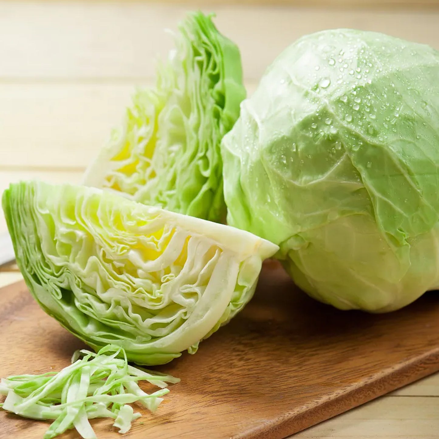 Vegetable - Round Cabbage
