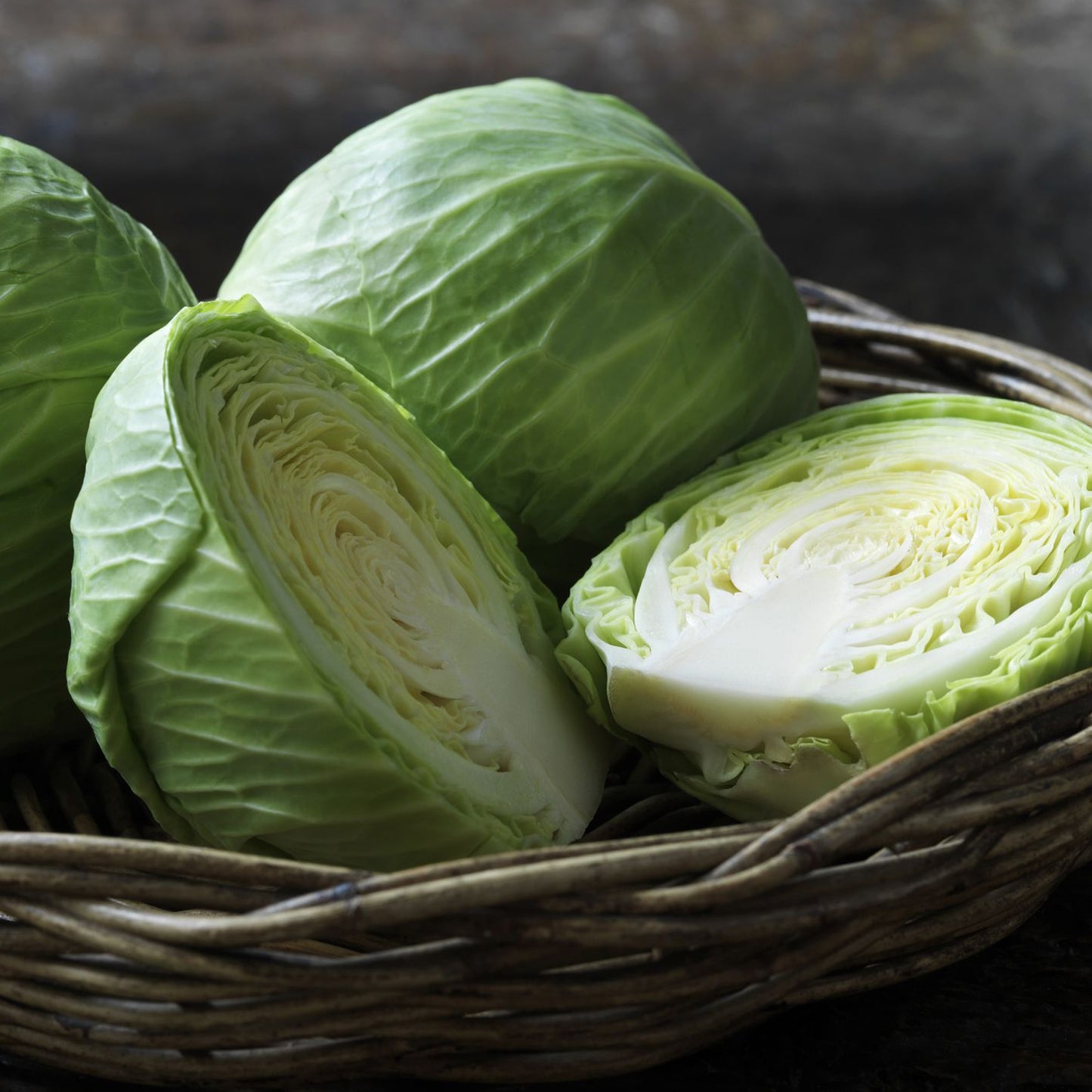 Vegetable - Round Cabbage