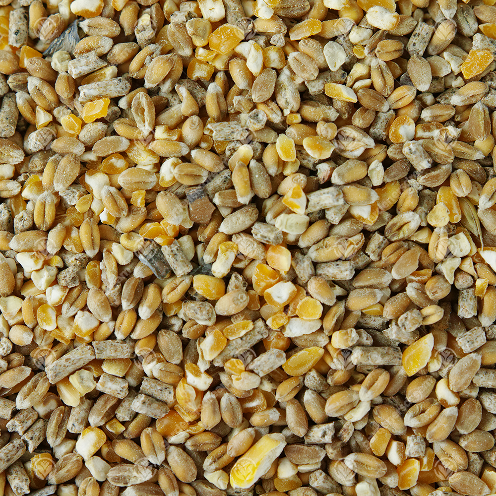 GardenersDream Chicken Corn Extra