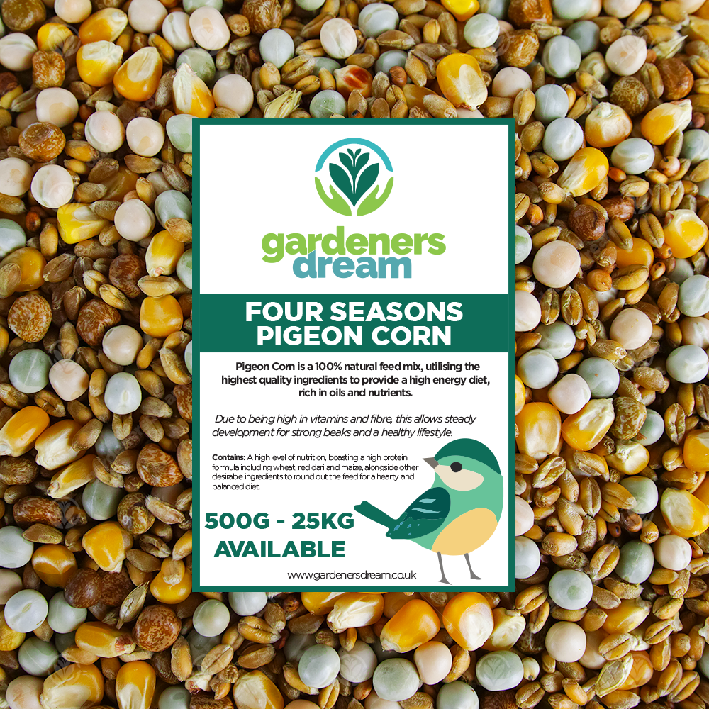 GardenersDream Four Seasons Pigeon Corn