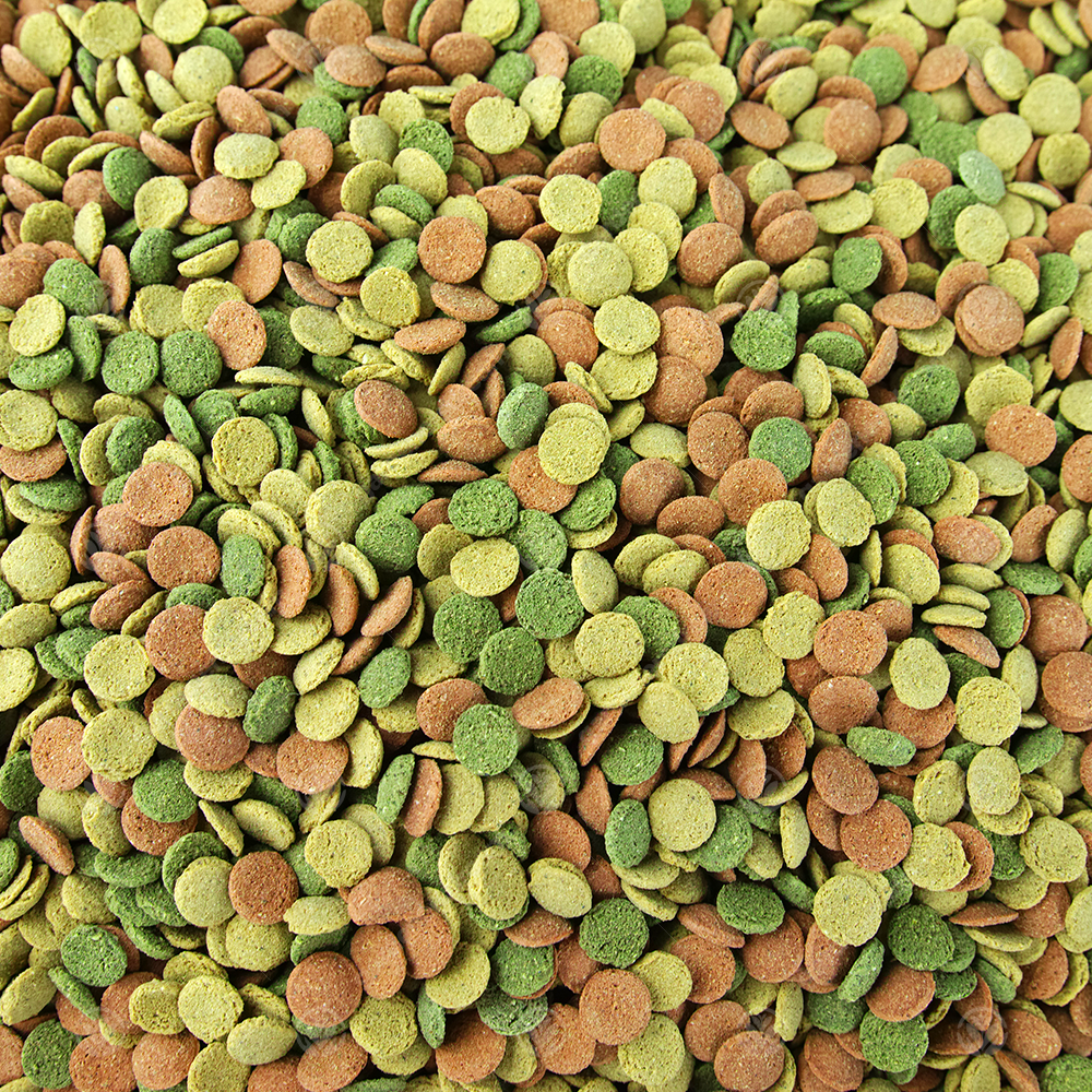 GardenersDream Small Fish Wafers Fish Food