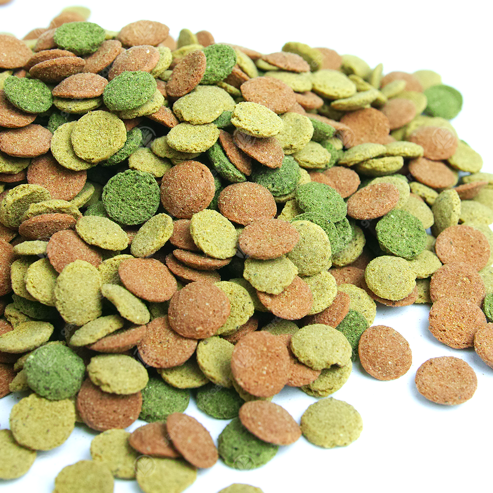 GardenersDream Small Fish Wafers Fish Food
