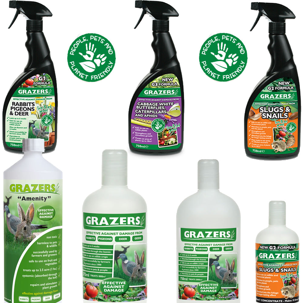 Grazers Variation (Master)