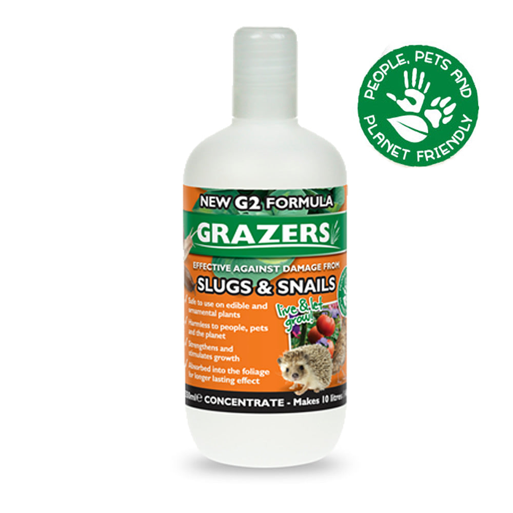 Grazers Variation (Master)