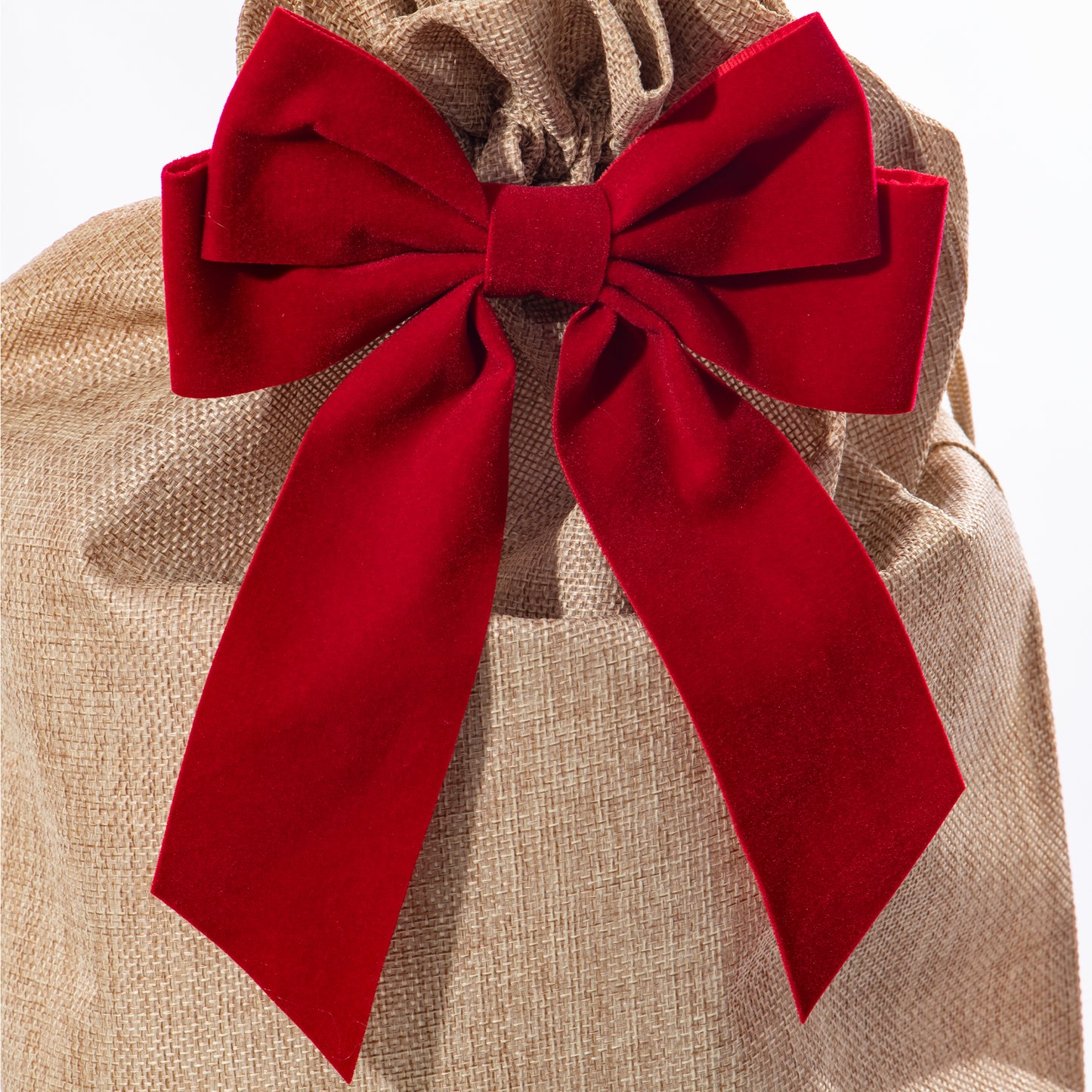 Standard Holly Tree With Pot Cover & Gift Wrapped