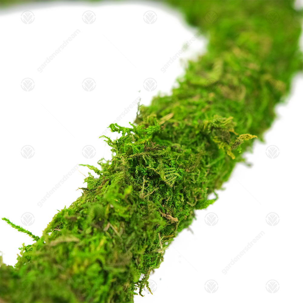 GardenersDream Padded Moss Effect Wreath Hearts