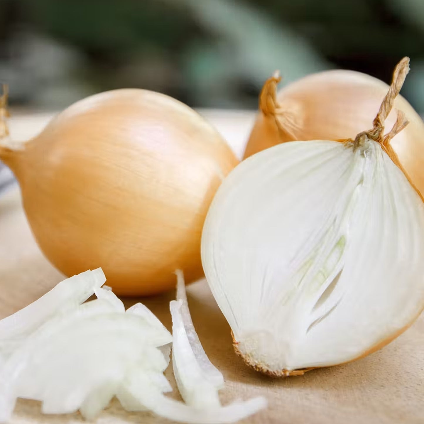 Vegetable - Onion Hyfort