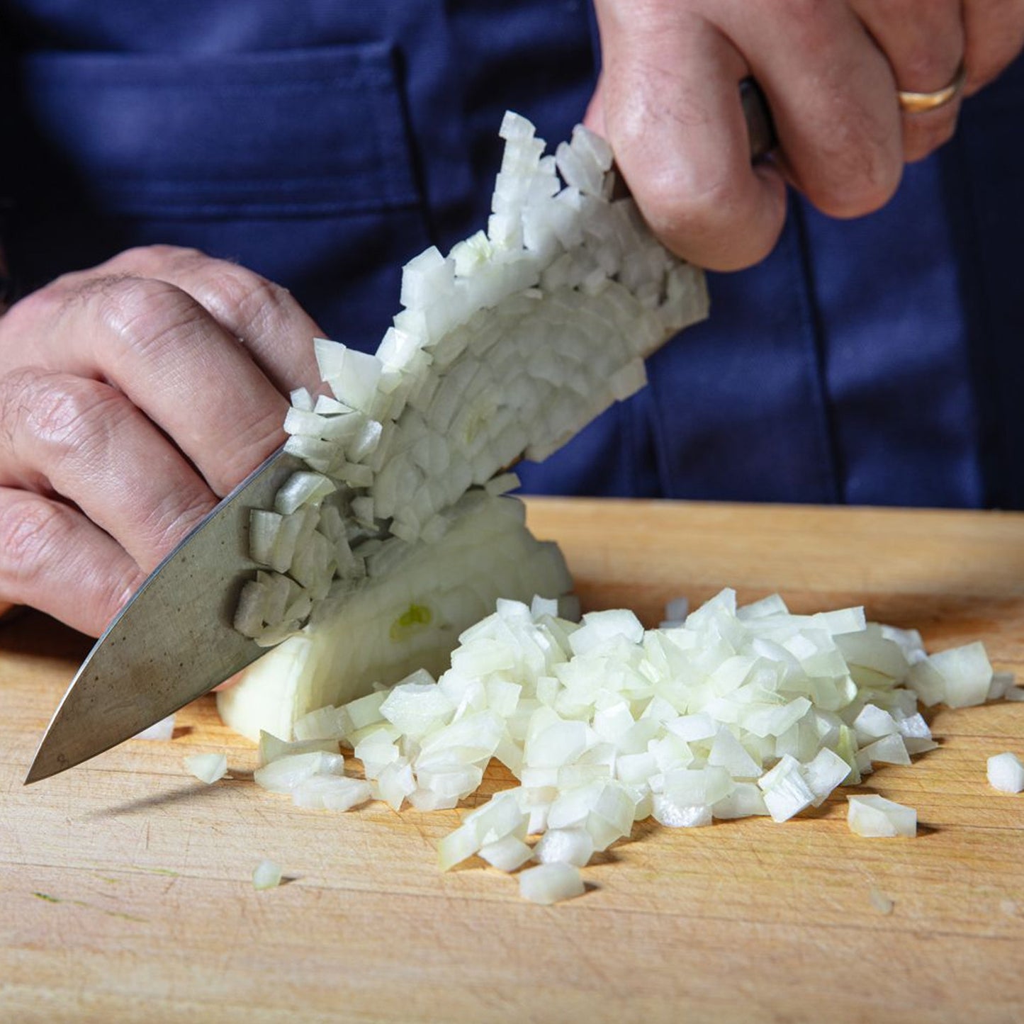 Vegetable - Onion Hyfort