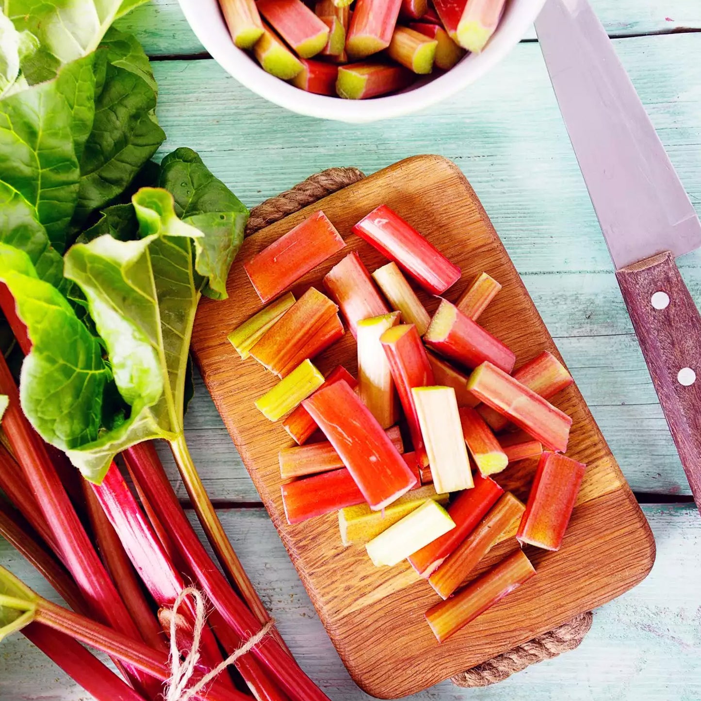 Rhubarb Canada Red