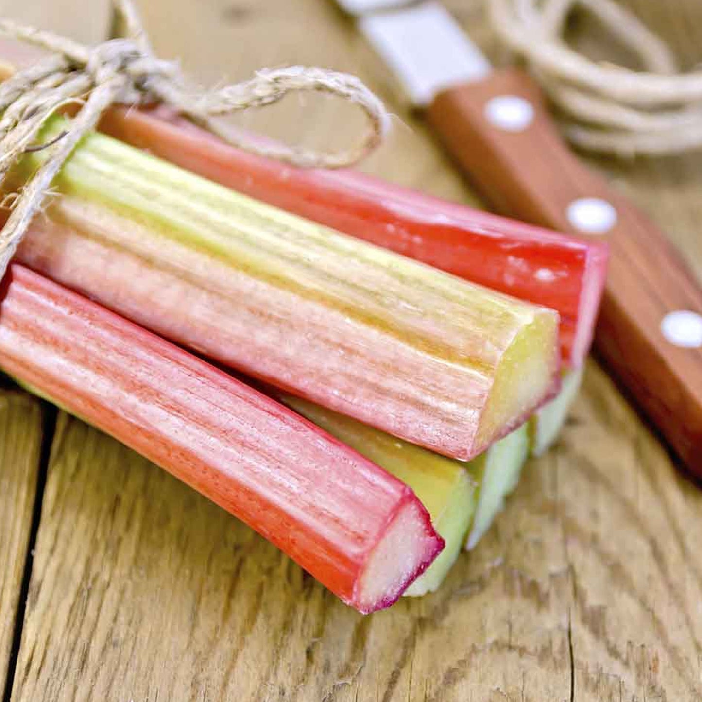 Rhubarb Fulton's Strawberry Surprise