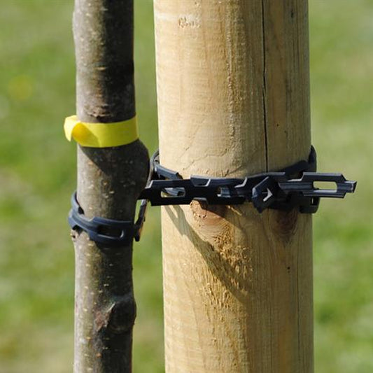 (V) 25M Chainlock Tree Strapping (Master)