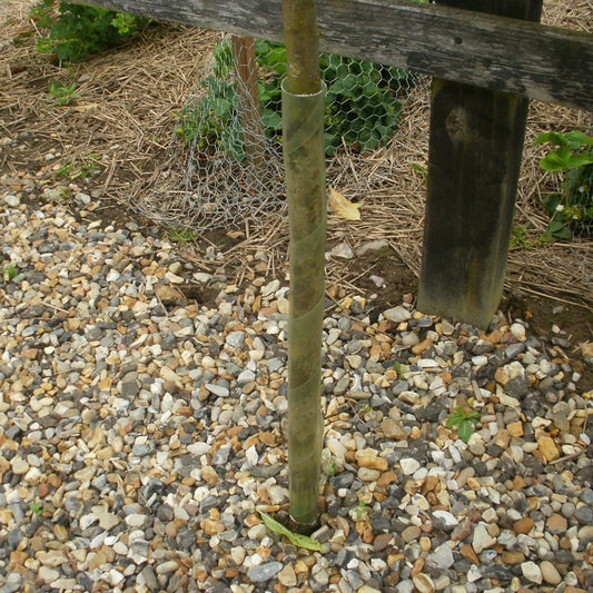 (V) Spiral Tree Guards (Green) (Master)