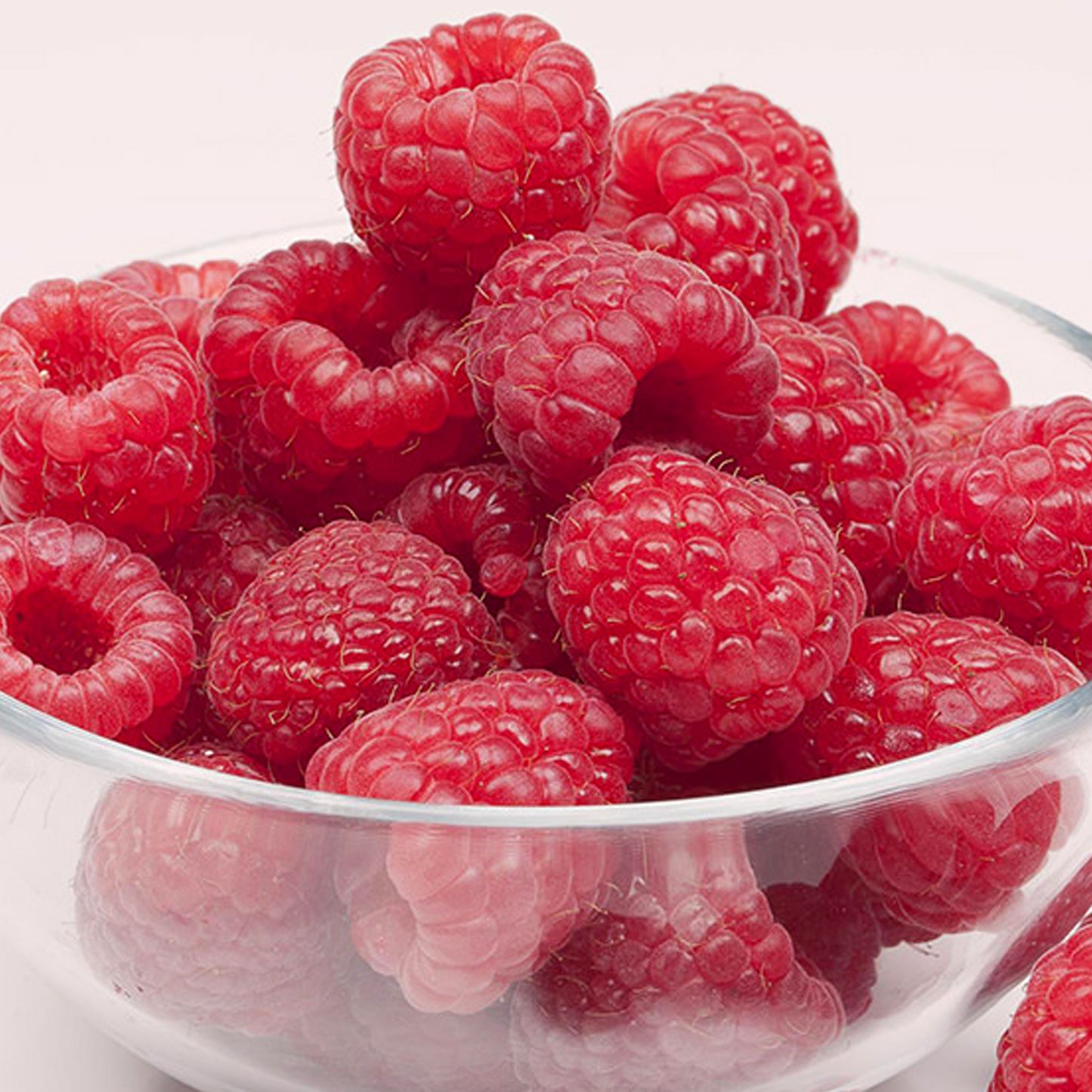 Raspberry Preussen
