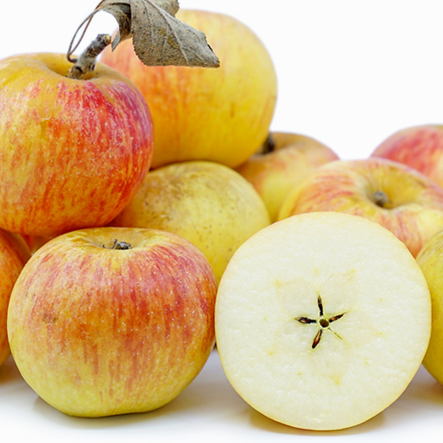 Apple Cox's Orange Pippen Tree (7.5L, 4-5ft)