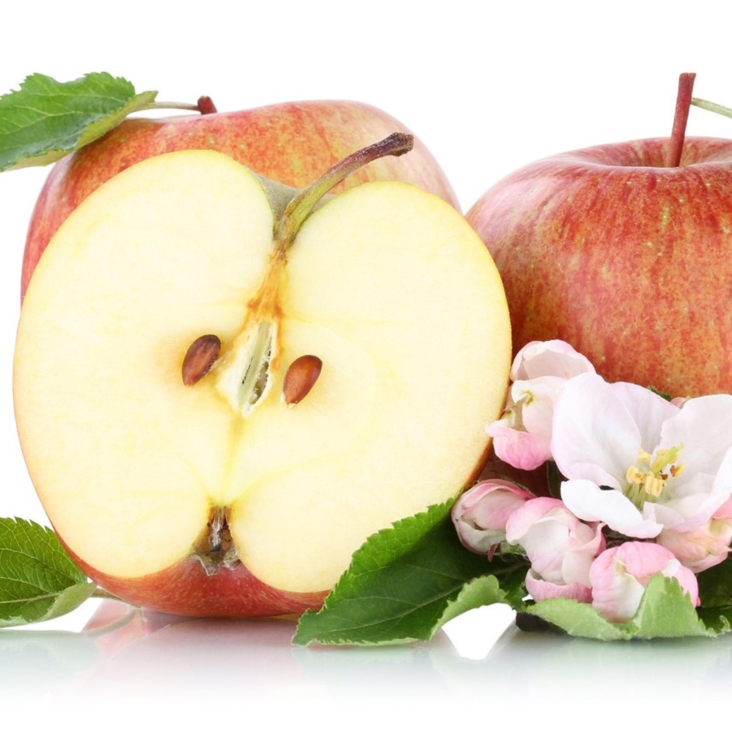 Apple Gala Tree (7.5L, 4-5ft)