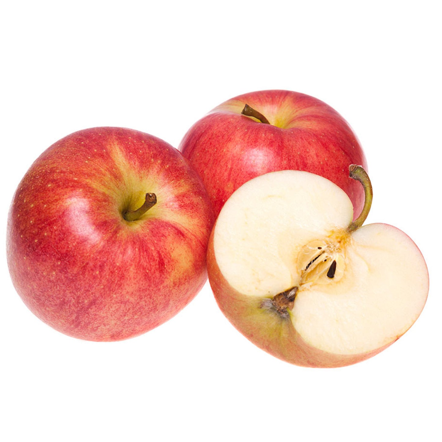 Apple Jonagold (7.5L, 4-5ft)