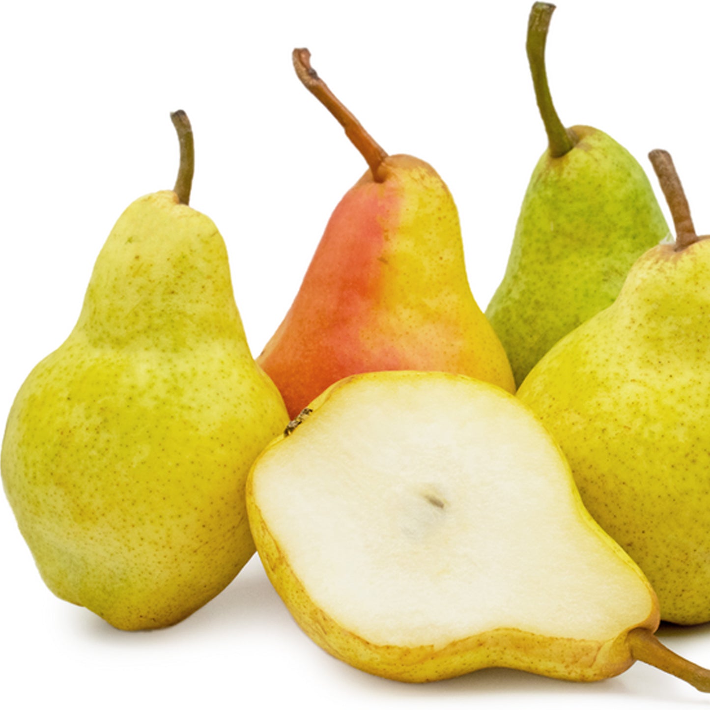 Pear Williams Tree (7.5L, 4-5ft)