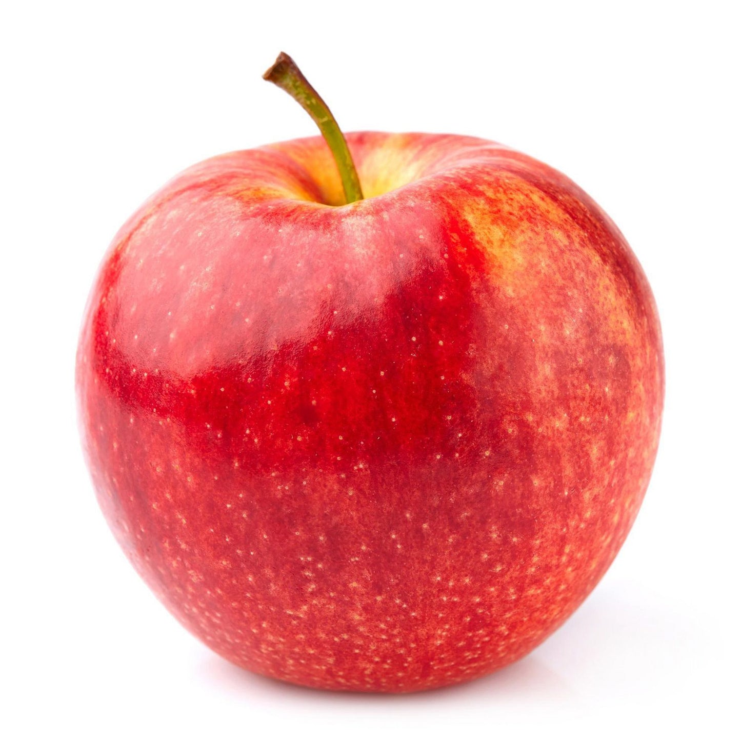 Apple Gala Tree (7.5L, 4-5ft)