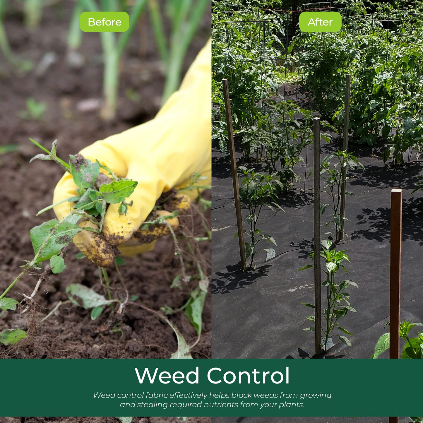 Weed Fabric 50gsm 2m x 90m