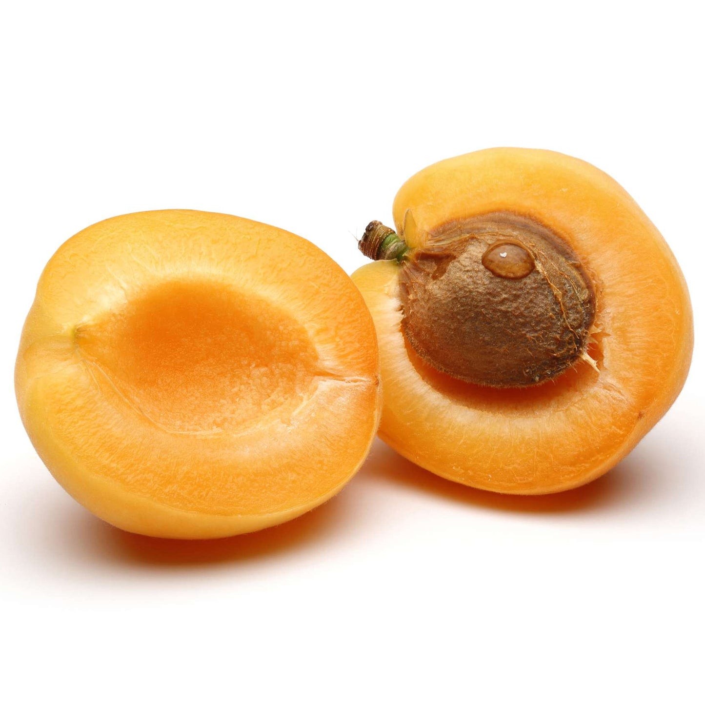 Apricot (MM106, 7.5L, 4-5ft)