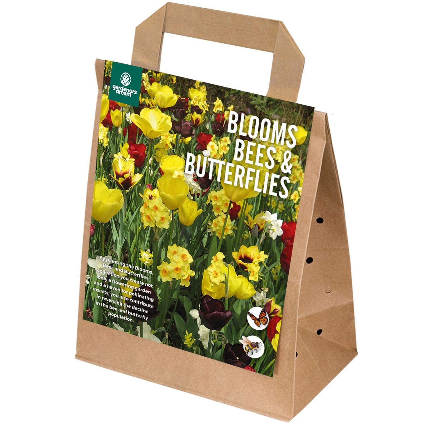 Blooms, Bees & Butterflies - Yellow & Maroon Shades (Pack of 25)