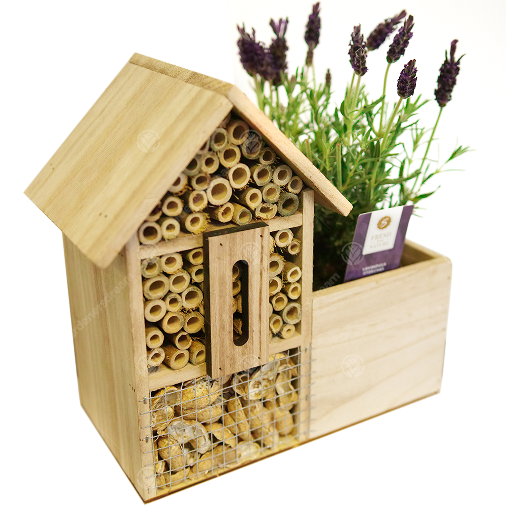 Bee & Insect Hotel & Lavender (9cm)