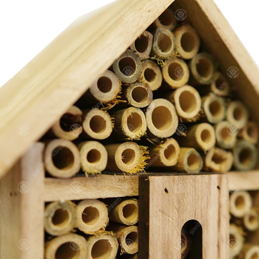 Bee & Insect Hotel & Lavender (9cm)