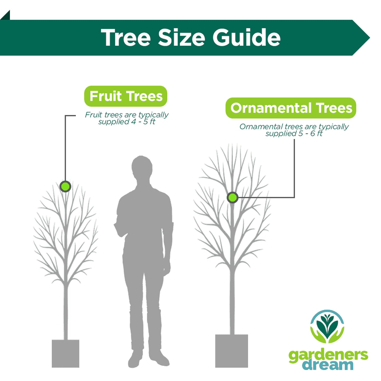 Apple Granny Smith (MM106, 7.5L, 4-5ft)