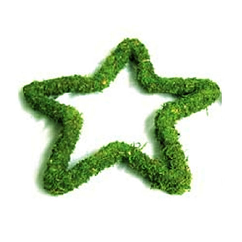 Padded Star 12" (#2)
