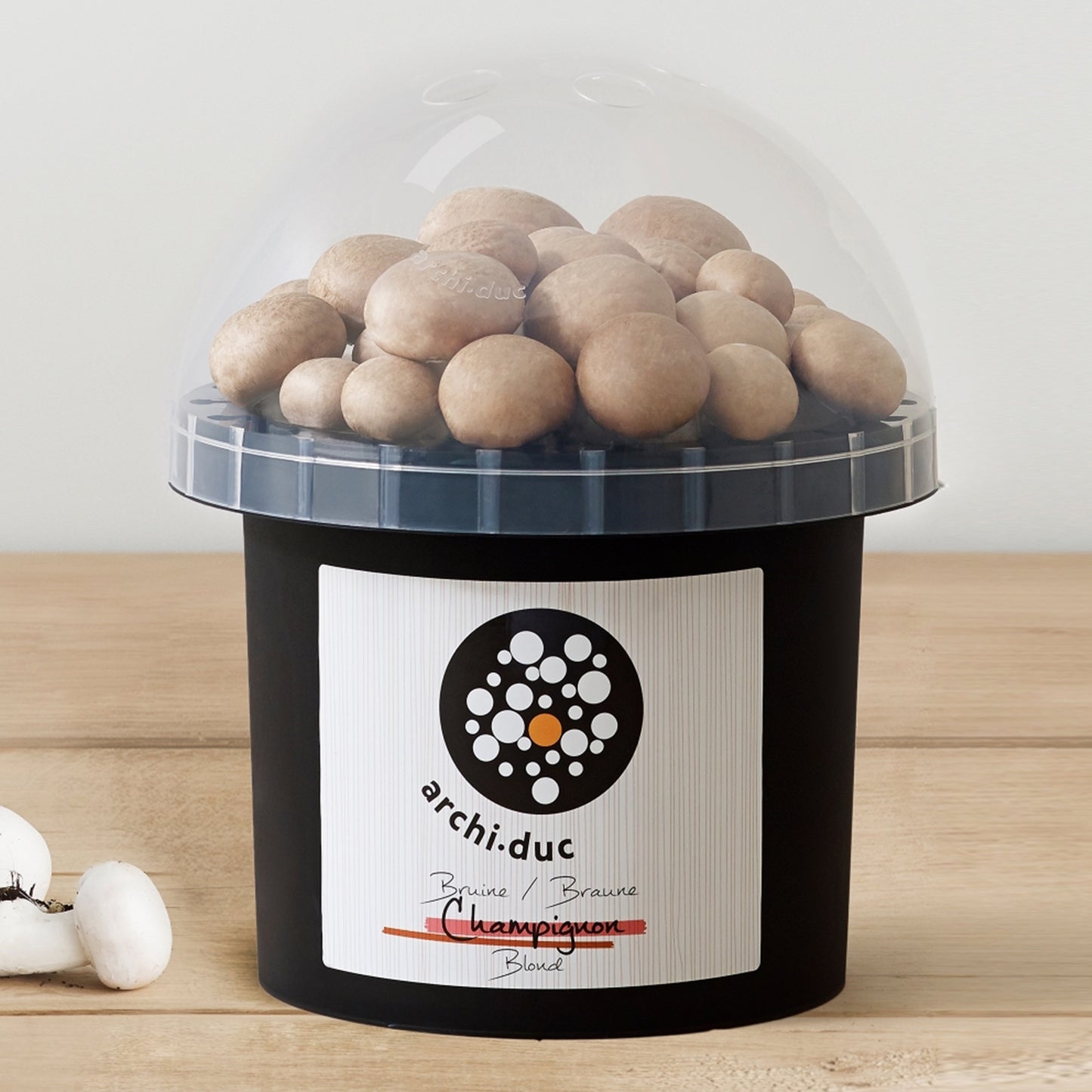 Mushroom Kit - Brown Cremini V3