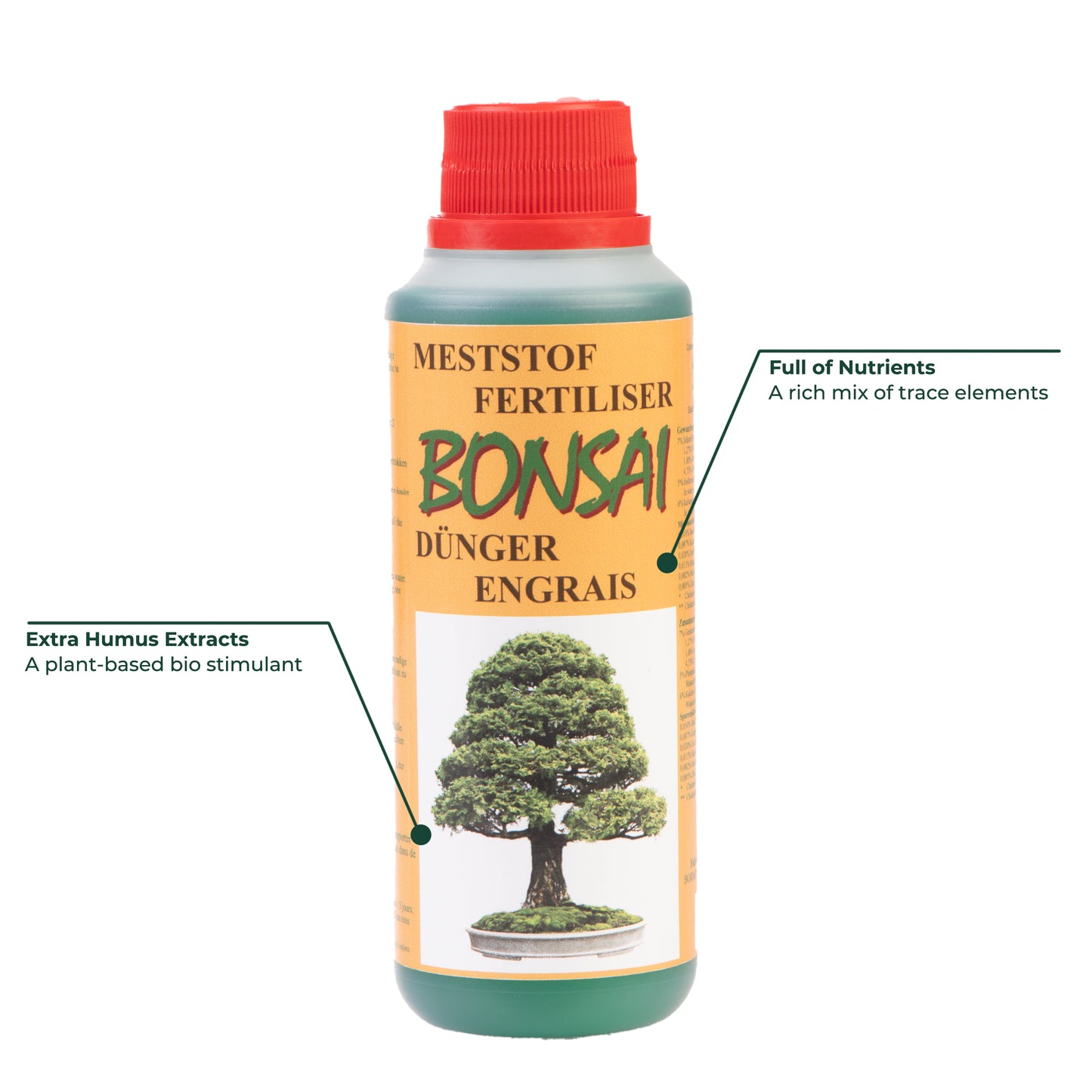 S-Shaped Bonsai