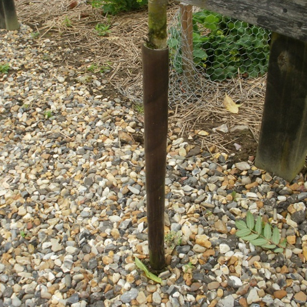 Spiral Tree Guards 2FT/50mm (Brown) (#10)