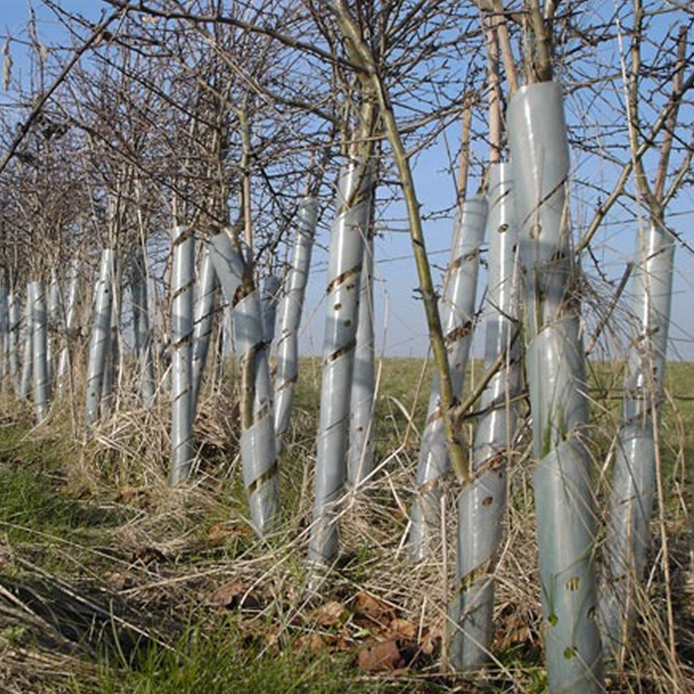 Spiral Tree Guards 2.5FT/50mm (Clear) (#500)