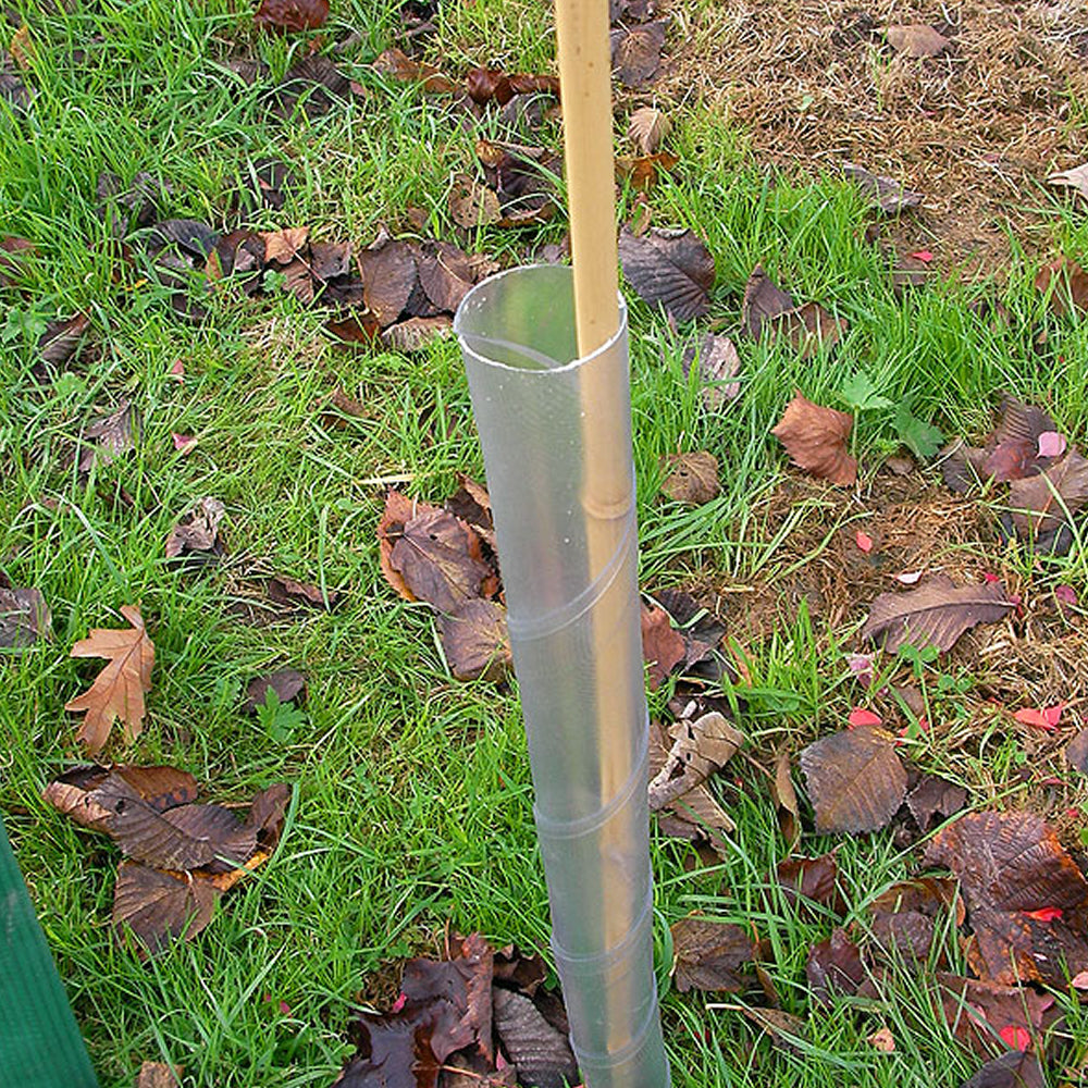 Spiral Tree Guards 2.5FT/50mm (Clear) (#500)