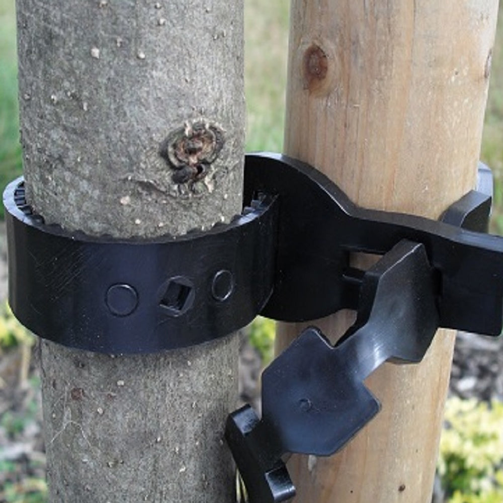 Super Softee Tree Ties 30cm x 1.25cm (#50)