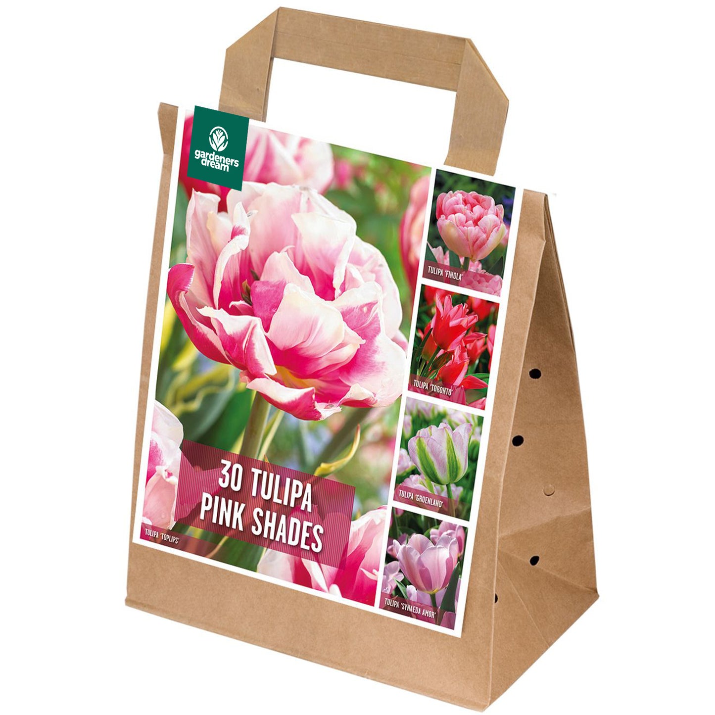 Shades of Colour - Tulip Pink Shades (Pack of 30)