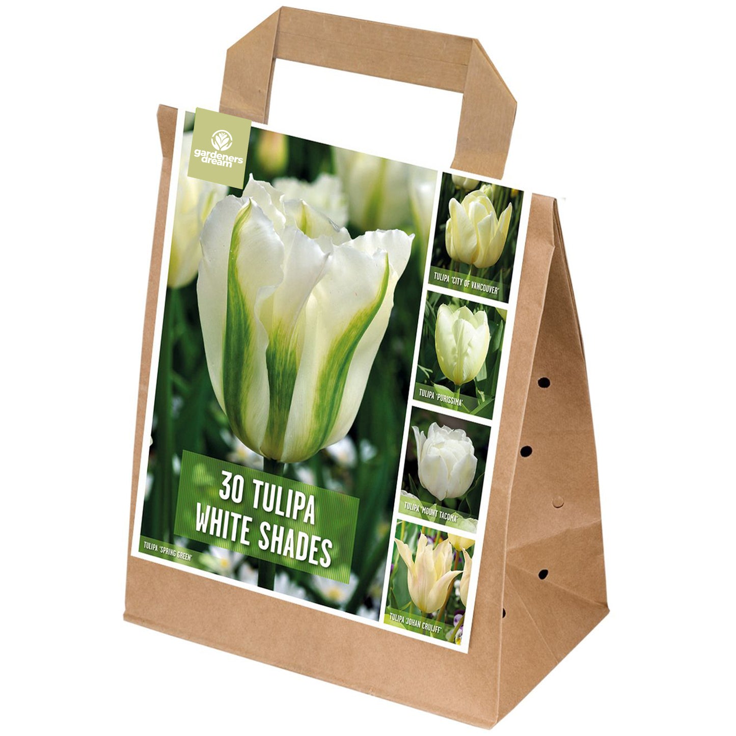 Shades of Colour - Tulip White Shades (Pack of 30)