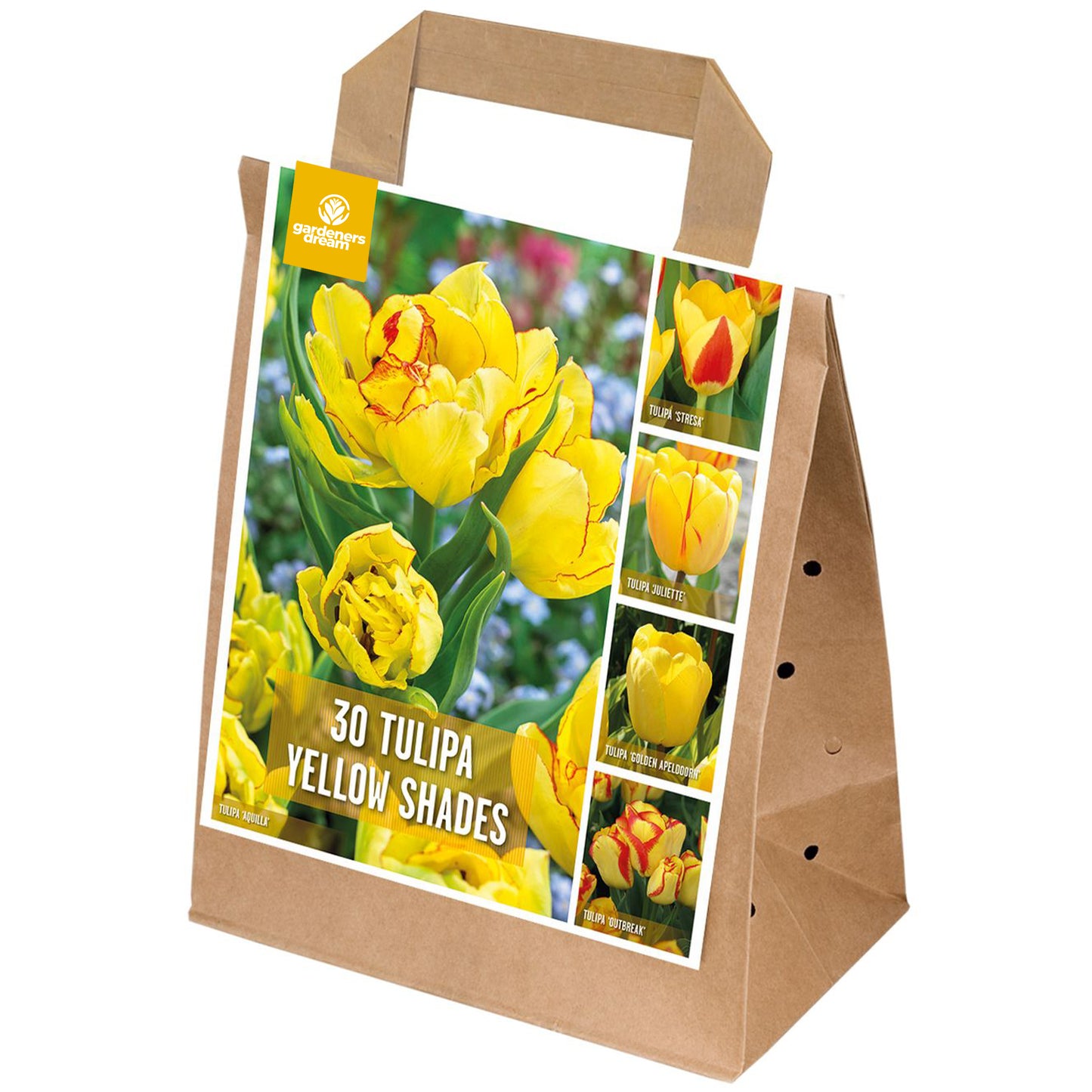 Shades of Colour - Tulip Yellow Shades (Pack of 30)