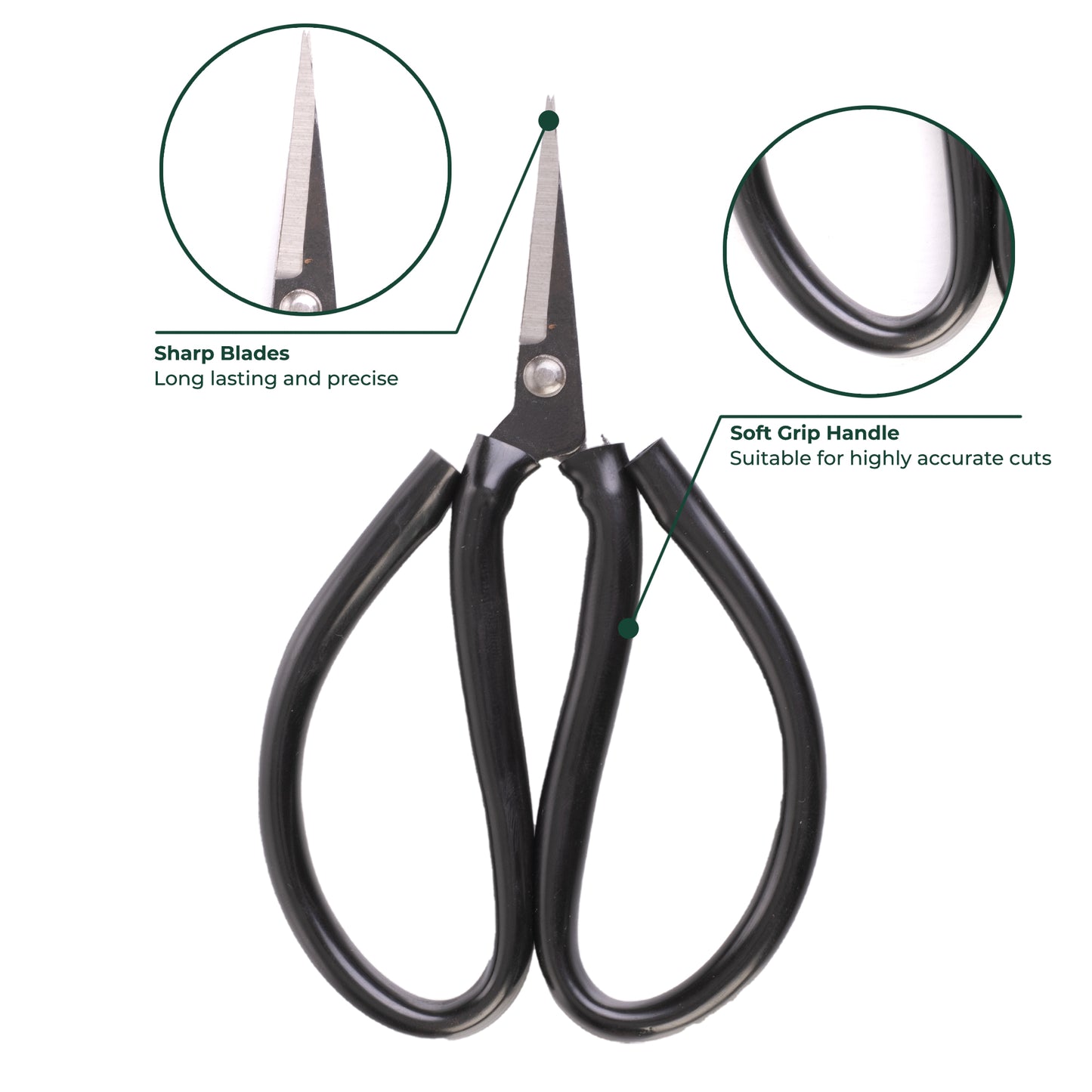 Straight Stem Bonsai