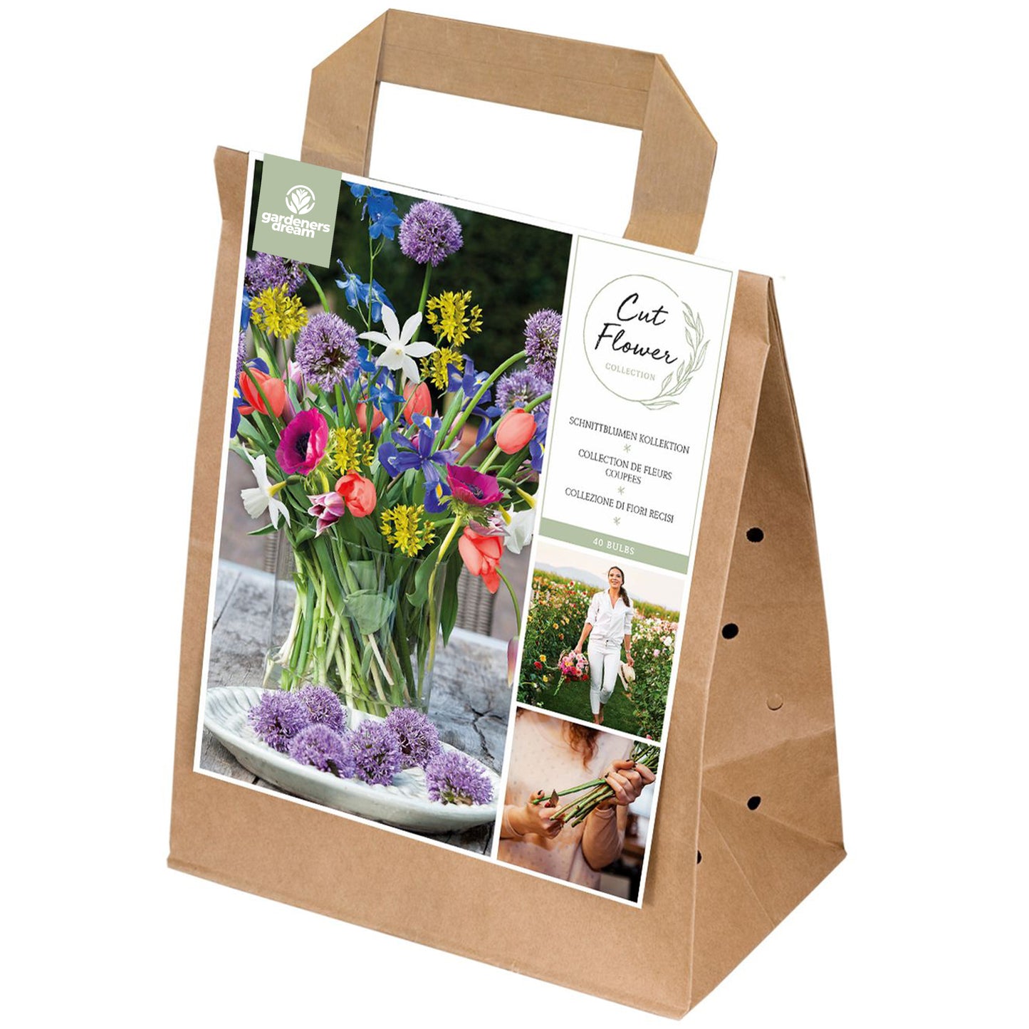 Spring Collection - Cut Flowers (Pack of 40)